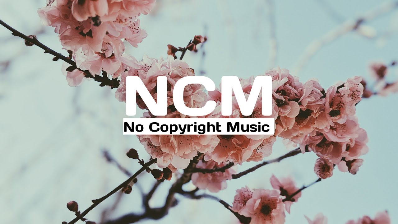 Leverage - BraveLion (No Copyright Music) | NCM Release