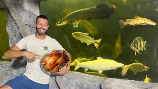 MONSTER FISH EATS TURKEY! INSANE FEEDING RESULTS!