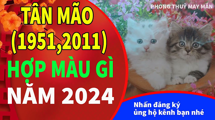 Sinh năm 1951 là tuổi gì năm 2024