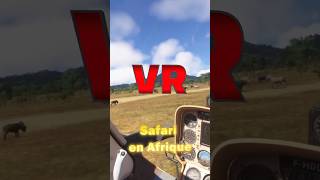 aviation vr tes dedans  safari en Afrique