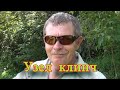 Константин Кузьмин. Узел клинч.