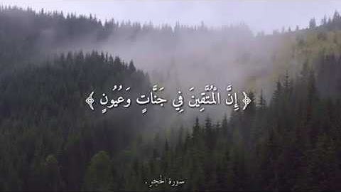 ﴿إِنَّ الْمُتَّقِينَ فِي جَنَّاتٍ وَعُيُونٍ﴾|هزاع البلوشي|أجمل حالات واتس اب دينية🍃 تلاوة مباركة.