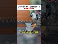 「これ一台で草刈りも耙作業も!?多機能電動DIY」 #多機能工具 #草刈りDIY #ハサミ改造 #自作プロジェクト #便利DIY