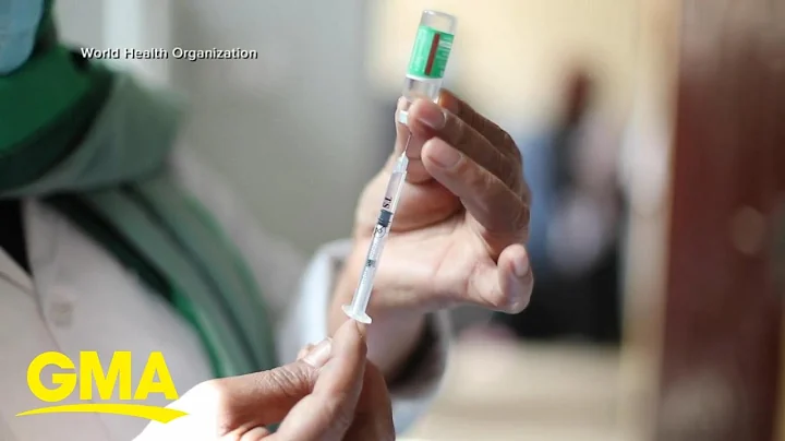 WHO chief scientist details worldwide COVID-19 vaccination efforts