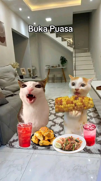 Siapa yang kangen bulan Ramadan nih ☝️ ?#kucinglucu #kucing #puasa #ramadhan