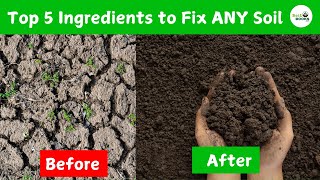 Top 5 Ingredients to Fix Any Soil For The Lazy Gardener's