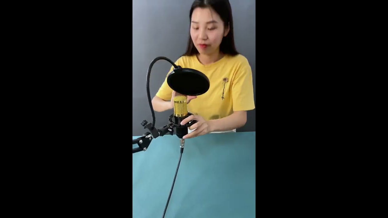 PULUZ Condenser Microphone With Arm Mount USB Sound Card