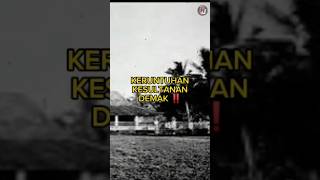 Runtuhnya kesultanan Demak. #shortvideo #sejarah #kesultanandemak #walisongo