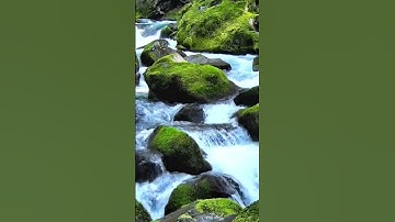 أَأَنتُمْ أَشَدُّ خَلْقًا أَمِ السَّمَاءُ ۚ بَنَاهَا#قرآن #آيات #النازعات #اكسبلور #اسلاميات