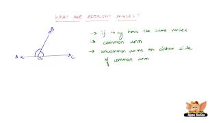 What are Adjacent Angles