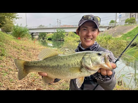 news – Bottomup(ボトムアップ)公式サイト