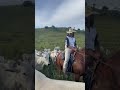 Gama Goiano bruto da pecuária.