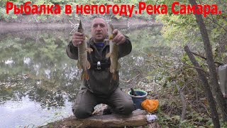 Рыбалка в непогоду на реке Самара.