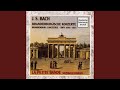 Miniature de la vidéo de la chanson Brandenburg Concerto No. 5 In D Major, Bwv 1050: I. Allegro