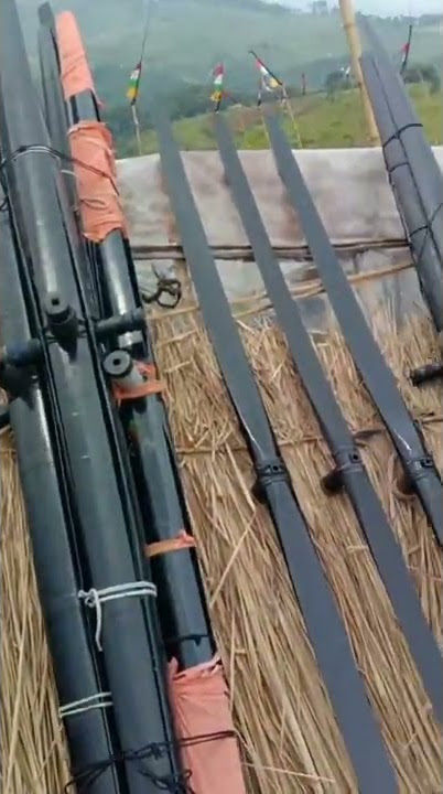 stok kolecer masih banyak persiapan jang angin ngebul..  #fyp  #kolecer #cipanas