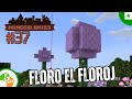 Floro farita el floroj | Minecraft Minecolonies E37 | Esperanto
