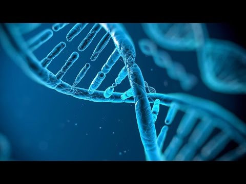 The Gene YouTube Hörbuch Trailer auf Deutsch