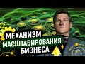 Как масштабировать бизнес? Пошаговая стратегия для масштабирования любого бизнеса 16+