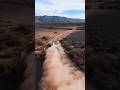 Yazed rally fans 🏆#rally #صلوا_على_النبي #wrc #video #shorts #viral #dxb #instagram #video #dubai