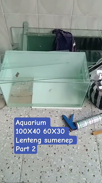 Download lagu #aquarium #lentengsumenep #ikanhiaskoki #fyp #dangdut #berdayungcinta #koislayer #glofish