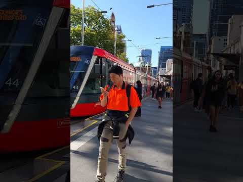 TRAMS IN SYDNEY 🚡🚊🚃🚋🚎