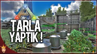 TARLA YAPIYORUZ ! | ARK Türkçe Multiplayer | Bölüm 22