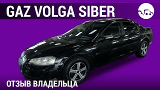 : Volga Siber -  