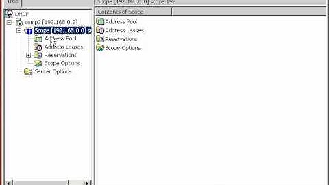 DHCP lease unlimited