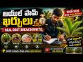 ఆయిల్ పామ్ ఖర్చులు 💸 1 Year Real Cost Sheet Breakdown!