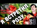 Я ВСТРЕТИЛ РОЗУ под баян - поет Вячеслав Абросимов