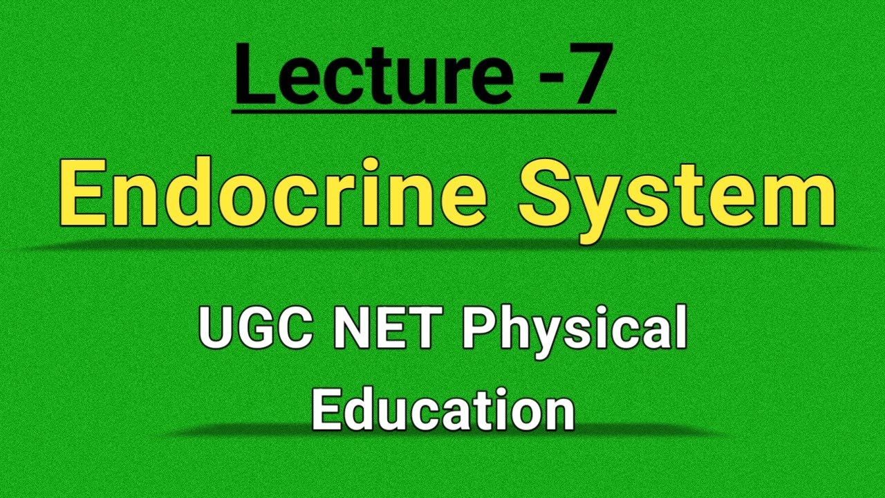 Lecture-7 || Endocrine System in Physical Education
