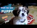 New Addition to the Family - Meet my new PUPPY Coco
