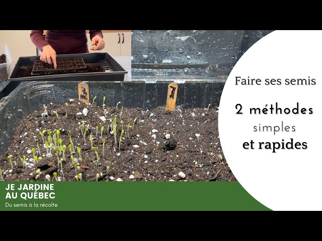 Comment semer sur une plaque alvéolée ? - Promesse de Fleurs