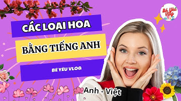 Tên các loại hoa bằng tiếng Anh