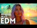 Chill EDM House 2025 🎧 Easy Vibes Soft Chill Beats to Soothe Your Soul  Focus &amp; Relax