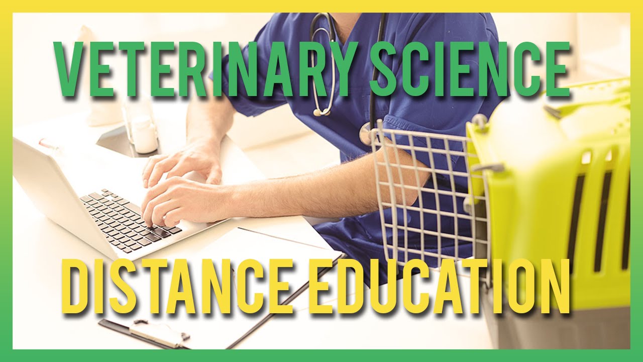 veterinary course in distance education