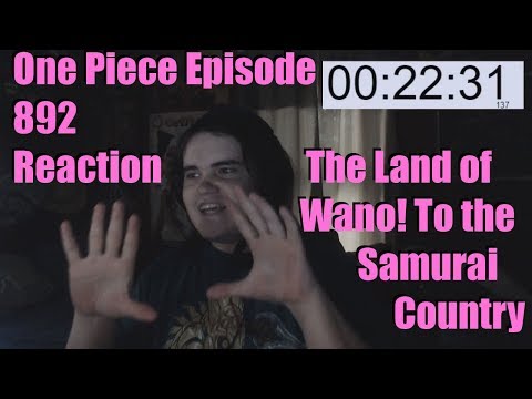 Video One Piece 2