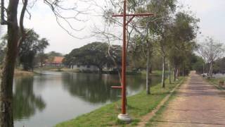 Piped Music in Thai Park screenshot 4