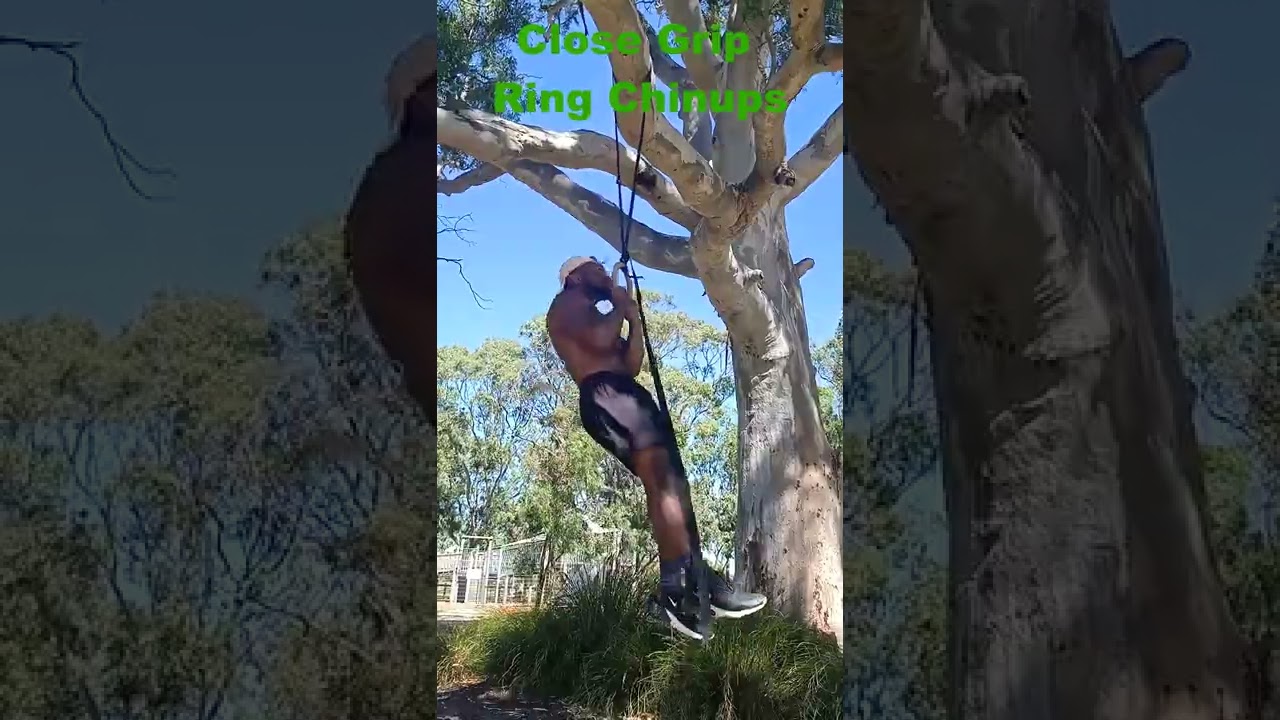 Close Grip Ring Chin-ups till Failure