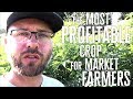 The Most Profitable Crop For Market Farmers Today!