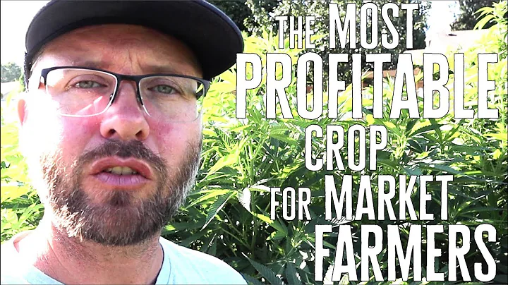 The Most Profitable Crop For Market Farmers Today!