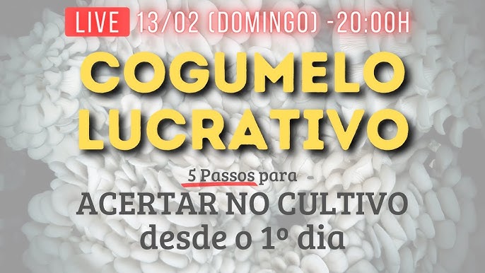 Cultive cogumelos comestíveis em casa sem esterilização: substrato de  serragem e etapas de pasteurização — Eightify