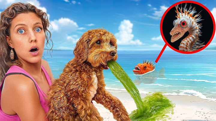 My Dog ATE Something TOXIC at the BEACH