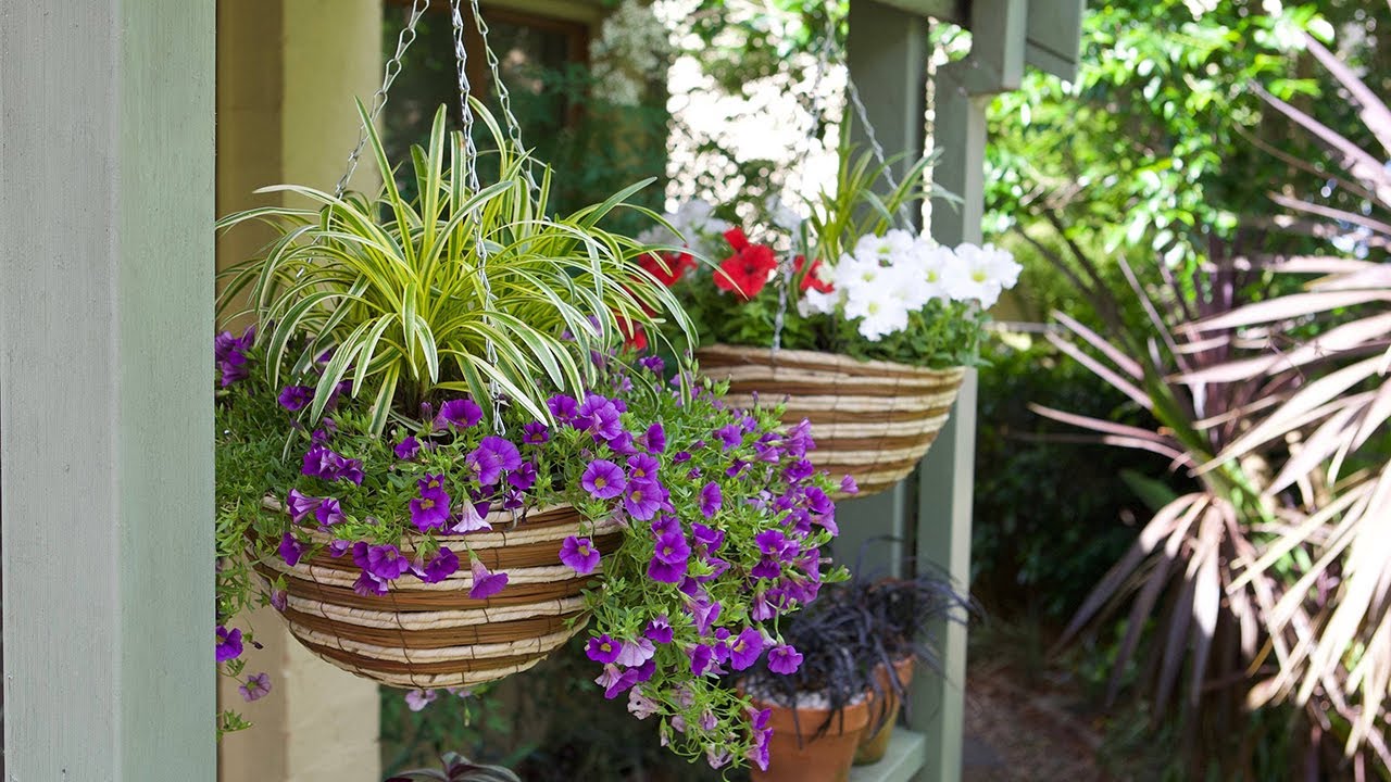 How to create a hanging basket - YouTube