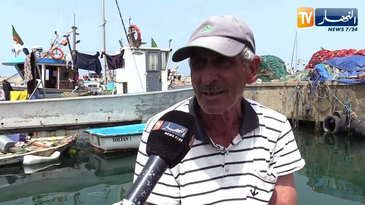 لتحويل قوارب النزهة إلى سفن للصيد.. شهادة الصياد المحترف إلزامية