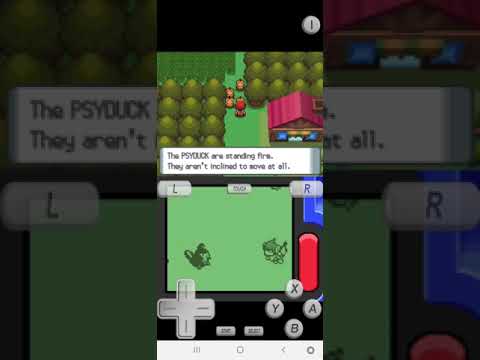Group of Psyduck blocking the way!! | Route 210 | Pokemon Diamond | Sinnoh Region | SuperNDS |