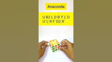 Anaconda || (3×3) Rubik