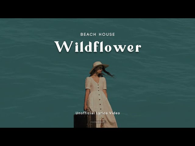 BEACH HOUSE - WILDFLOWER (LYRICS)