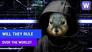 Squirrels cause massive electrical disruptions!