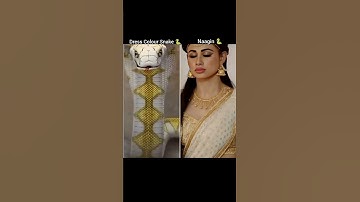 Nagin Actress dress Colour Snake 🐍 | #naagin #nagin #dress #colour #snake #naginsong #trend